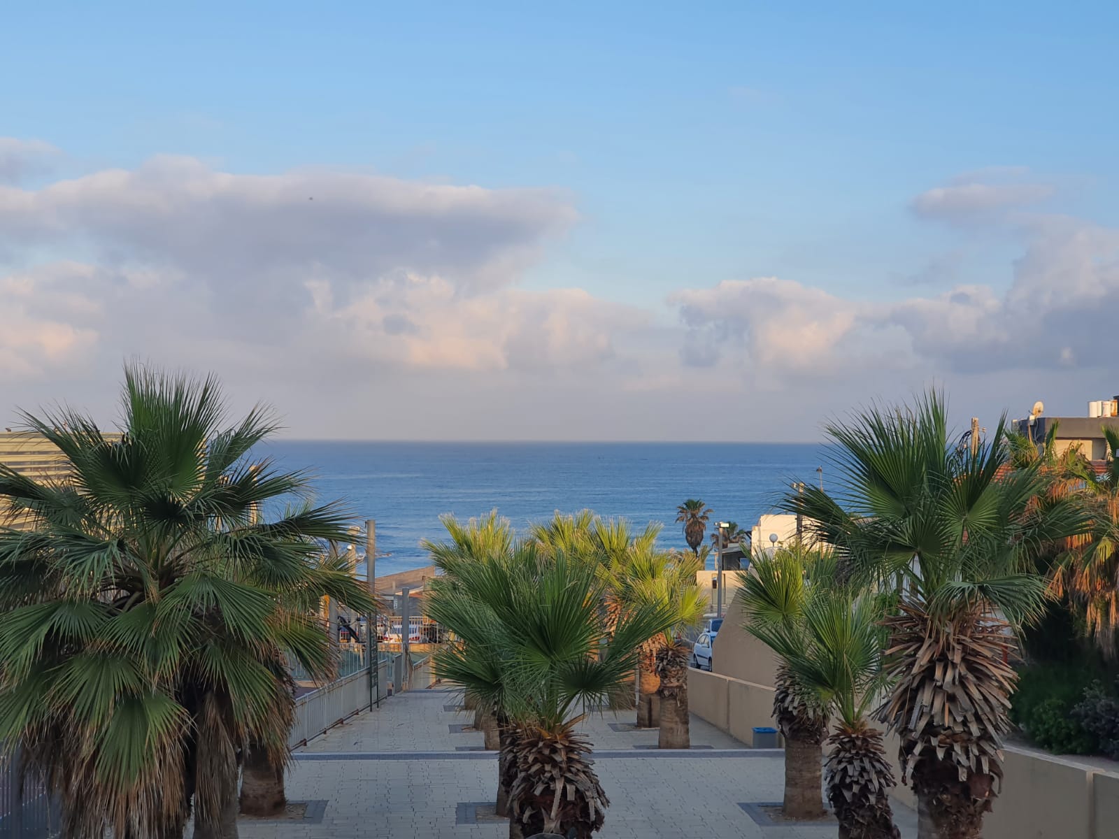 WhatsApp Image 2021-05-13 at 6.51.29 AM.jpeg